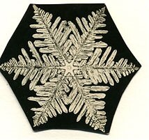 Wilson A. Bentley: Snowflake 18, 1950's